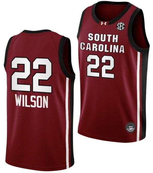 Aja Wilson Jersey #22 South Carolina Gamecocks College Basketball 2023-24 Garnet